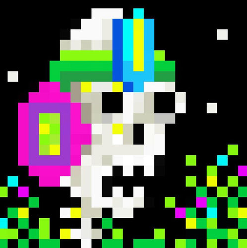 the Ocote Collection